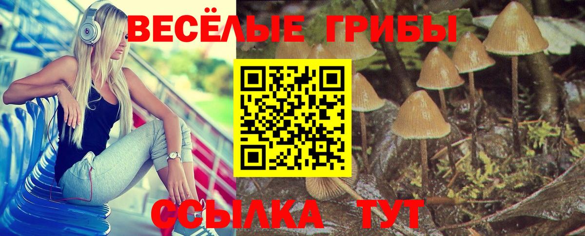 Саратов  Псилоцибиновые грибы MAGIC MUSHROOMS  Галлюциногенные грибы GOLDEN TEACHER  Вход с VPN 